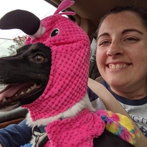 Meet your Posher, Amanda